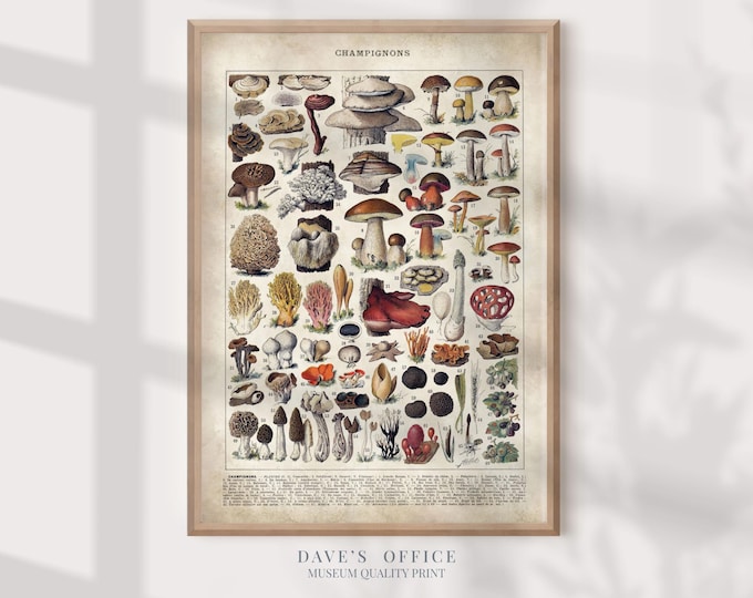 Adolphe Millot Mushroom Print: Vintage Botanical Kitchen Poster