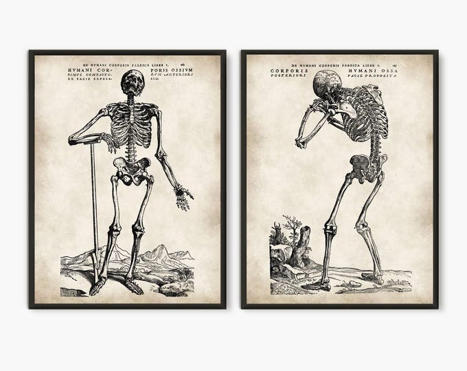Set of 2 human skeleton prints - Vintage Anatomy print Set - Halloween wall art decor