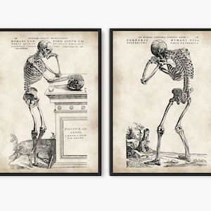 Anatomy print, Halloween wall art, halloween party, human skeleton, vintage art, skeleton print, vintage anatomy poster,set of 2, c