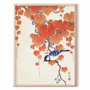 Lámina artística vintage de pájaro, pintura de otoño - Arte mural japonés, impresión en madera ukiyo-e - Carbonero común en una rama de paulownia de Ohara Koson
