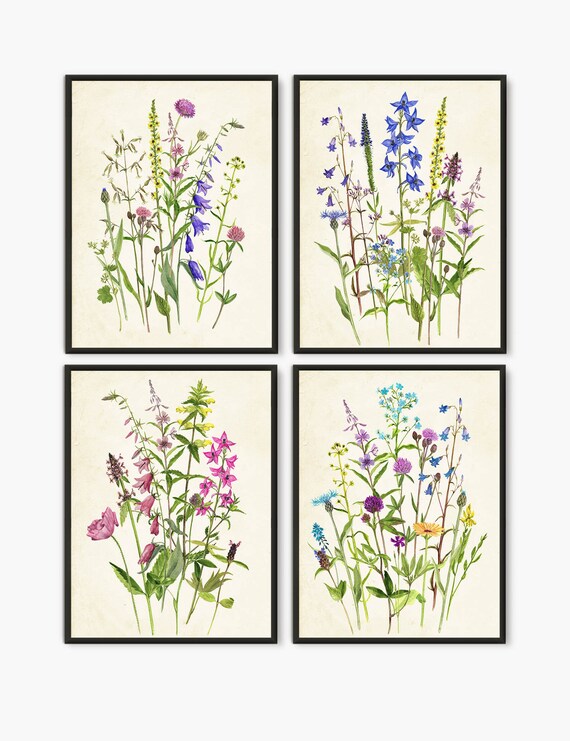 Wild Flowers Botanical Illustrations set of 4 Wall Art Prints Country Wall Decor 
