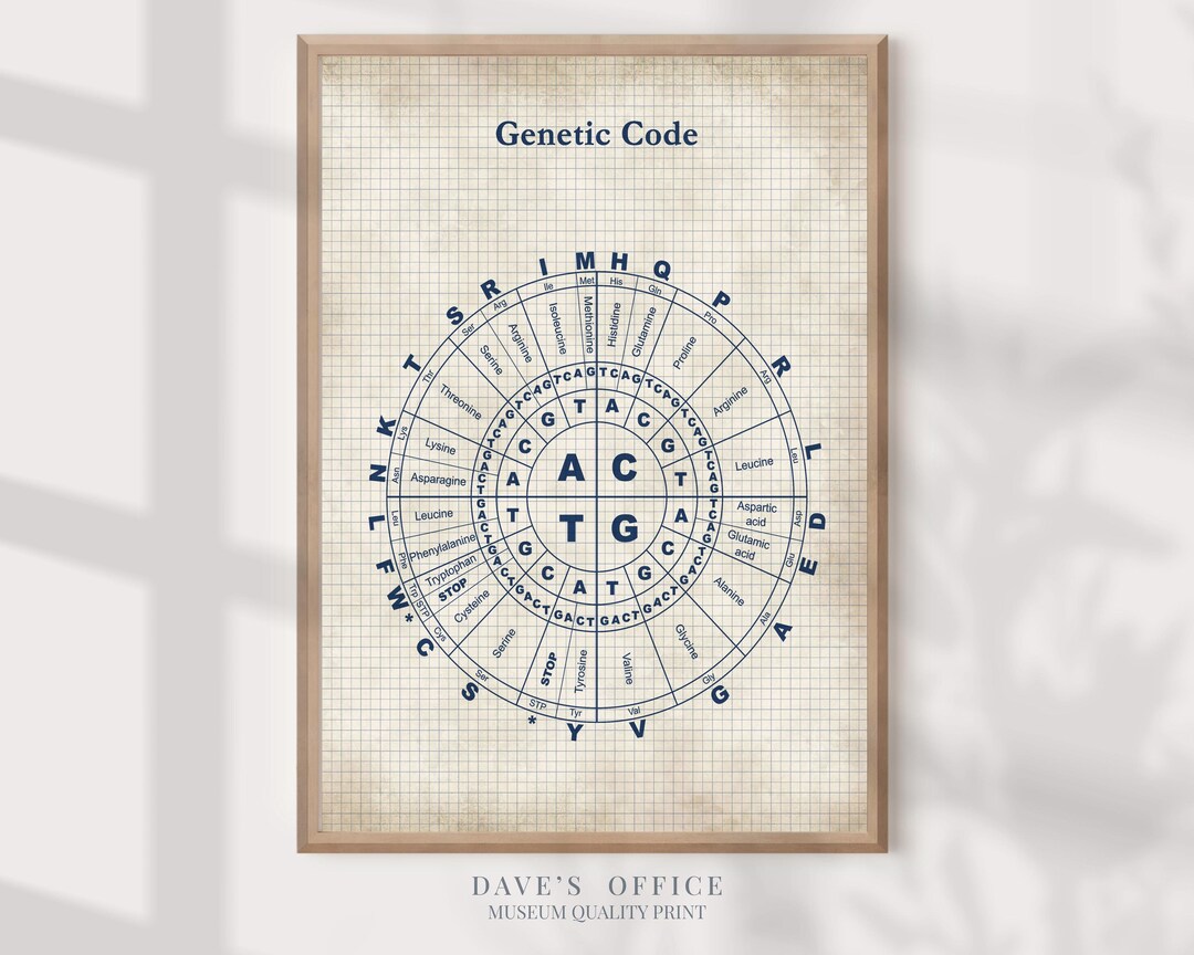 Genetic Code Science Poster: Medical Biology Art Print - Etsy