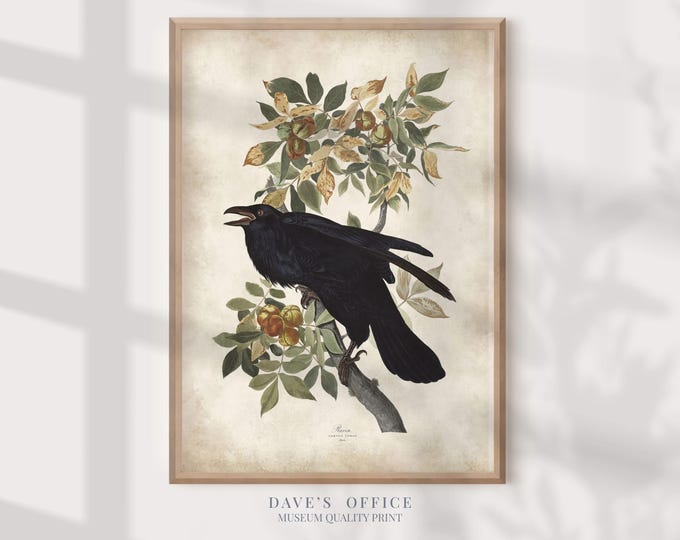Raven Painting Audubon Bird Prints, Dark academia art Antique Bird, Vintage Crow Poster Wall Art Decor, nature print, bird lovers gift