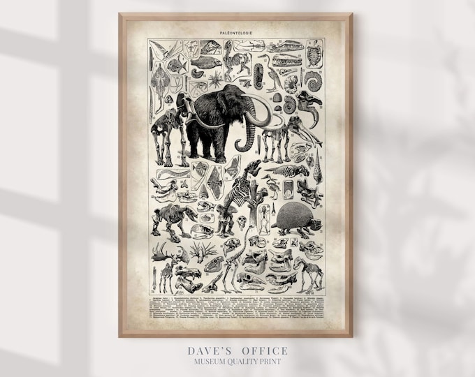 Vintage Paleontology Art Print: Dinosaur & Skeleton Poster