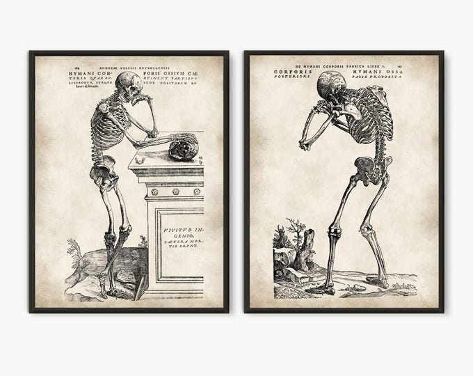 Vintage Anatomy print Set - Set of 2 human skeleton prints - Halloween wall art decor