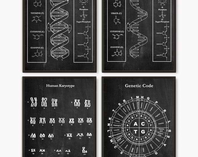 Dna wall art, Set of 4,Dna molecule, Rna molecule, Science art, Medical art, Genetic Code, Dna poster, Dna, Biology Poster, Genetic Print D4