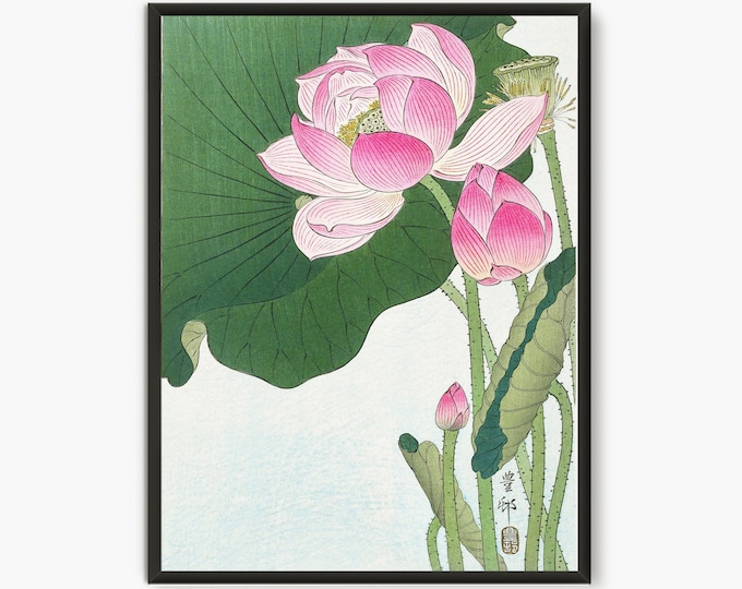 Lotus Flower Woodblock Print, Japanese botanical art lotus flower poster, Japan art zen garden art, Japanese print Lotus Flower Drawing