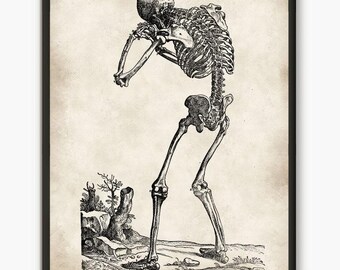 Skeleton Thinking - Andreas Vesalius Stretched Canvas Print, Anatomy ...