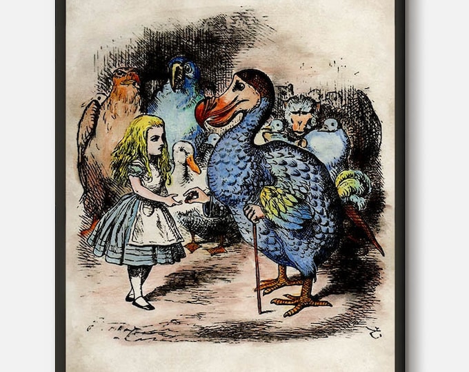 Dodo, Dodo bird, Alice in wonderland, Dodo art, Alice poster, Alice looking glass, Alice print, Wonderland party, Wonderland gifts