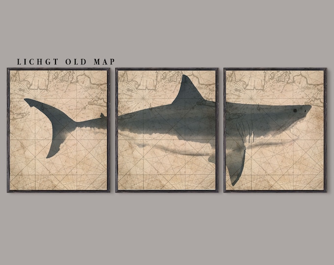White Shark, Marine Biology, Watercolor Shark, Great White Shark, Bathroom Wall Art, Set Of 3 Prints, Watercolor Art, Marine Biologist