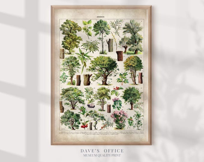 Tree Print - Botanical wall art Larousse illustration natural history decor