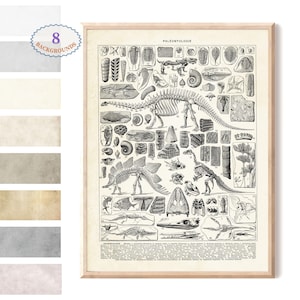 Adolphe Millot illustration,Dinosaur Prints Larousse Book, Paleontology Wall Art Poster, Jurassic Science Illustration Decor