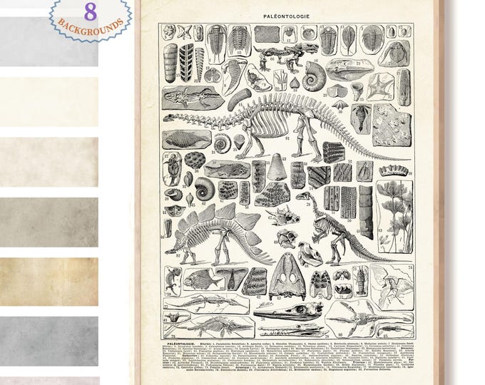 Dinosaur Prints Larousse Book Plate, Paleontology Wall Art Poster, Jurassic Science Illustration Decor