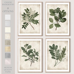 Botanical painting print, Green leaves antique botanical book, Green leaves home decor set of 4 prints  #B4