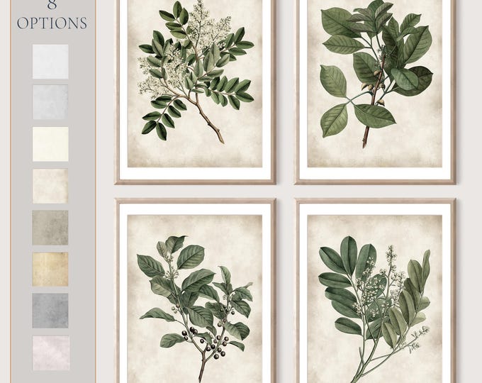 Botanical painting print, Green leaves antique botanical book, Green leaves home decor set of 4 prints  #B4
