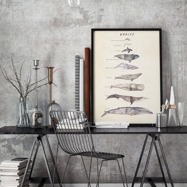 Whale Species Watercolor Print: Nautical Marine Art