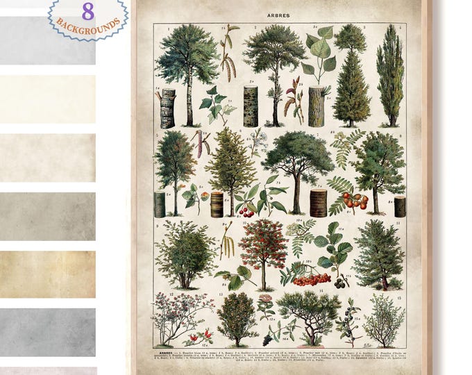 Tree Print Wall Art, Larousse Botanical Art Print, Family Tree Poster, Nature-Inspired Home Decor, Vintage Tree Illustration, Nature Print