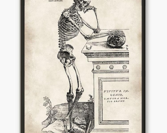 Vintage Human Skull Anatomy Poster - Gothic Halloween Art Print - Medical art skeleton art