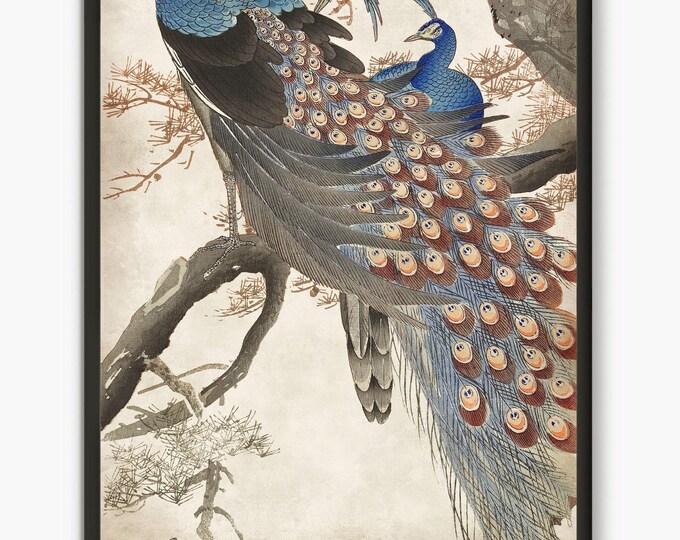 peacock paintings Japanese art print, art print of peacock japanese nature garden decor