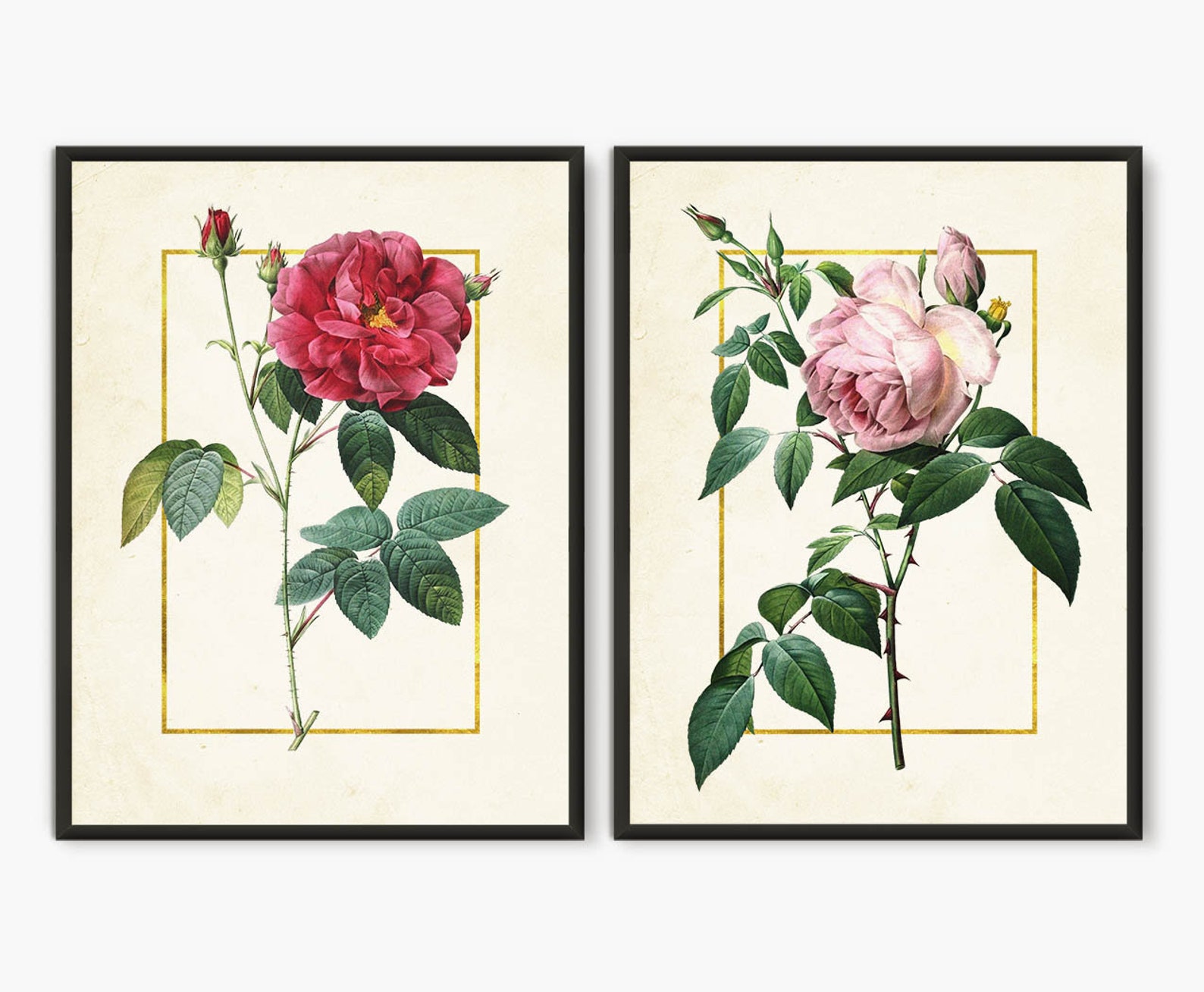 Botanical Wall Art Rose Gold Decor Pink Rose Red Rose Etsy