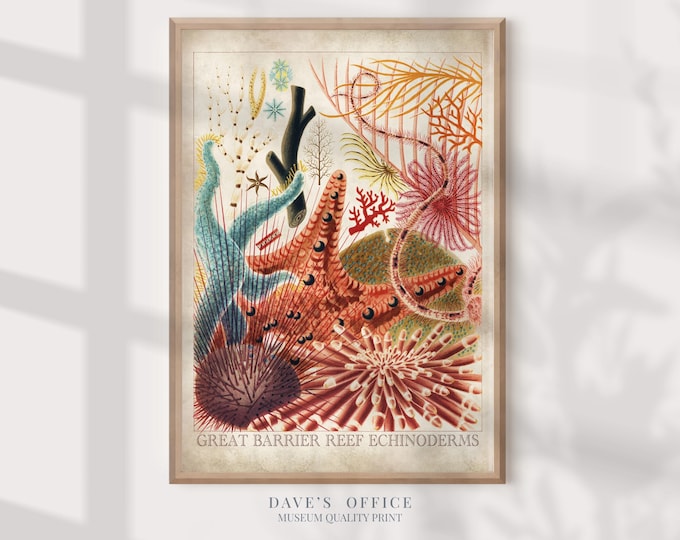 great barrier reef poster, marine life wall art