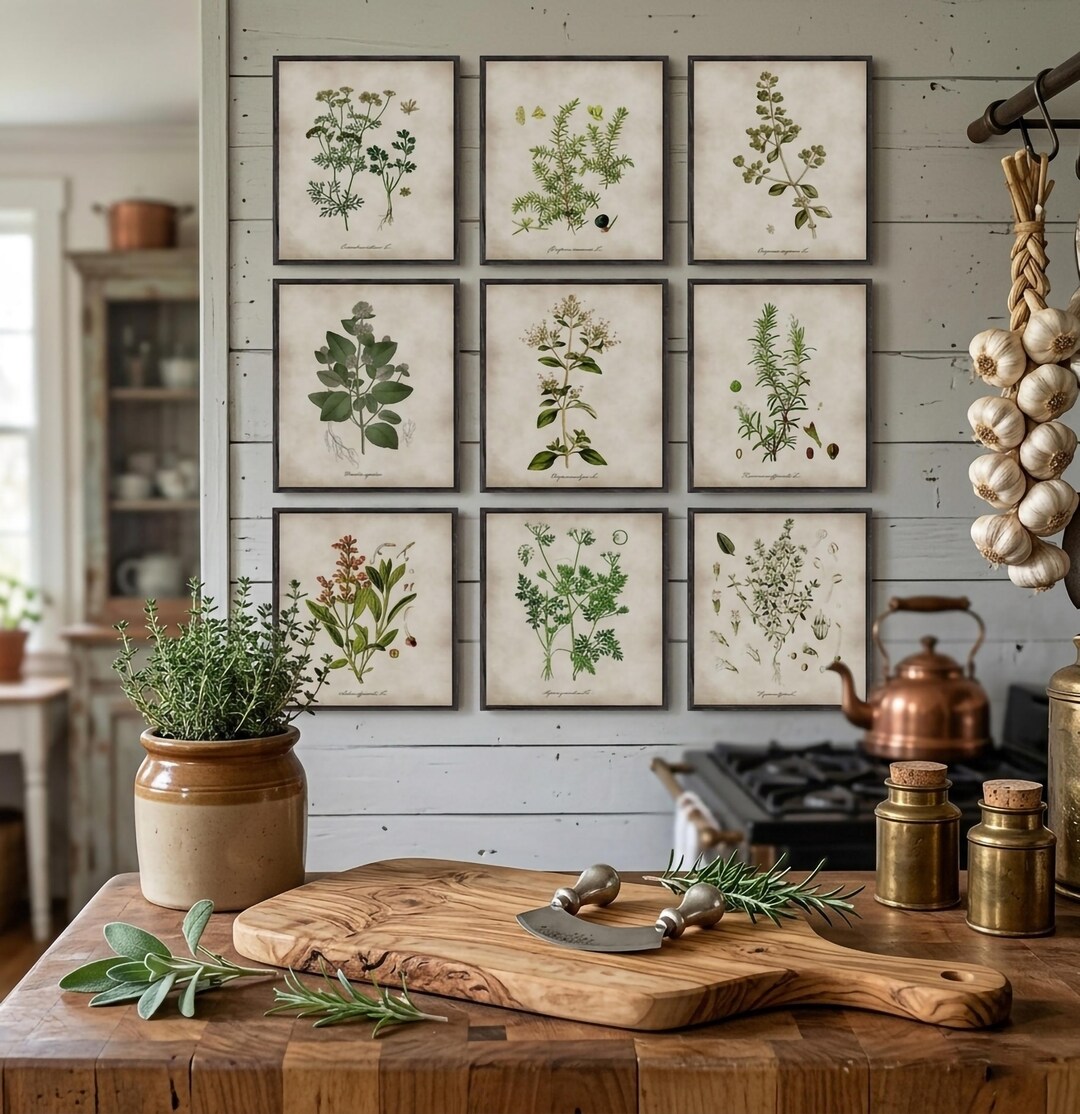 Kitchen Herbs Print Set of 9, Culinary Herb Poster, Vintage Botanical ...