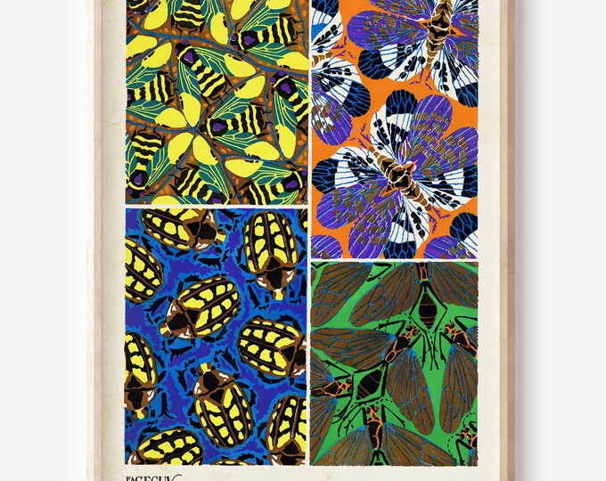 A Beautiful Vintage Insect Pattern Posters - Seguy Mid 1920s - Art Nouveau Vintage Botanical Illustration Insect Poster Gift Idea