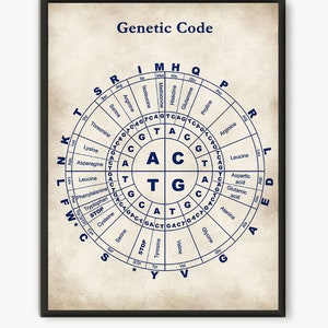 Genetic code, Science poster, gift for scientist, medical art, biology art, dorm decor, genetic art print, nucleotide, science art D5