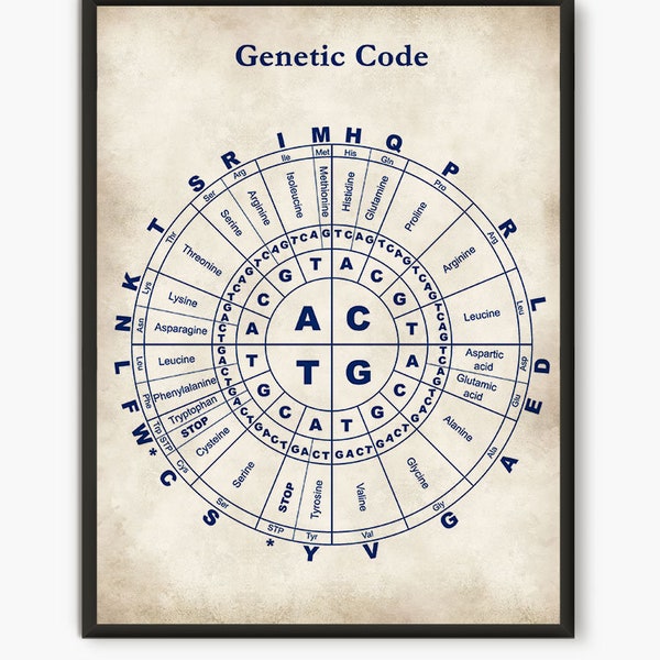 Genetic code, Science poster, gift for scientist, medical art, biology art, dorm decor, genetic art print, nucleotide, science art D5