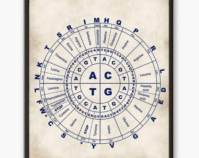 Genetic code, Science poster, gift for scientist, medical art, biology art, dorm decor, genetic art print, nucleotide, science art D5