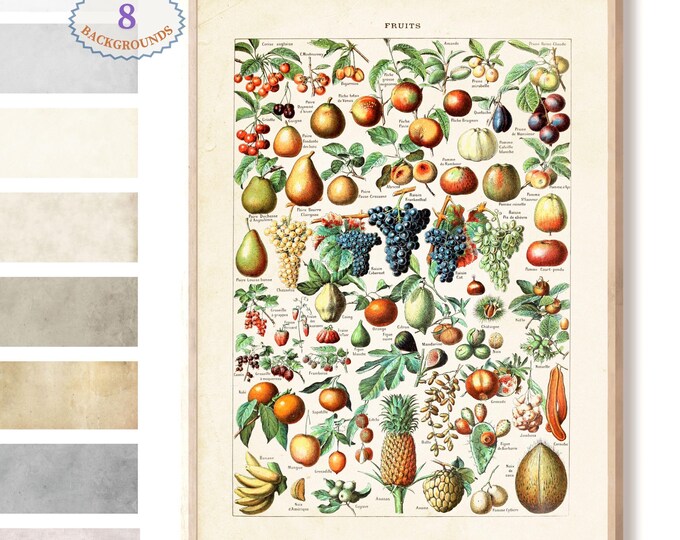 Fruit Wall Art Larousse Kitchen Poster - Botanical fruit illustration, fruit poster for kitchen and living room decor
