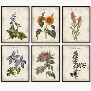 Set of 6 prints,  Colorful flowers, Botanical wall art for home decor #80