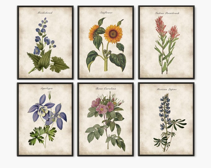 Set of 6 prints,  Colorful flowers, Botanical wall art for home decor #80