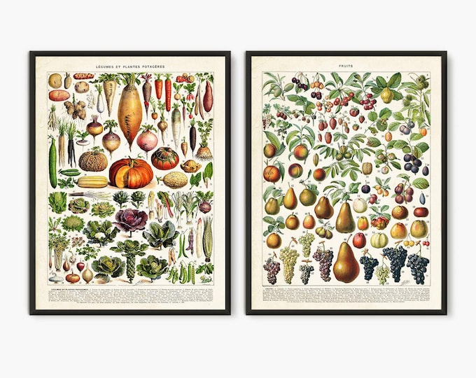 Adolphe Millot illustration,Fruit and Vegetable posters, Larousse old book,kitchen posters, food poster, vegetables art, kitchen wall poster