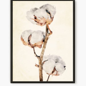 Cotton Brunch Plant, Watercolor, Watercolor Decor, Cotton Flower Painting