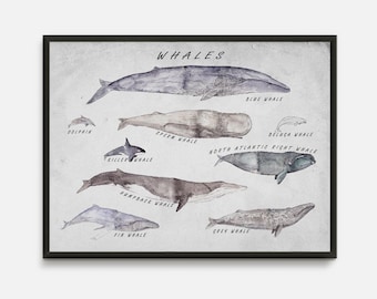 Whale Watercolor Print: Nautical Marine Art