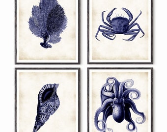 Sea Creatures, Marine life, Octopus art, Seashell Decor, Sea coral, Indigo Art, Sea life, Ocean Decor, Nautical prints, Coastal wall art