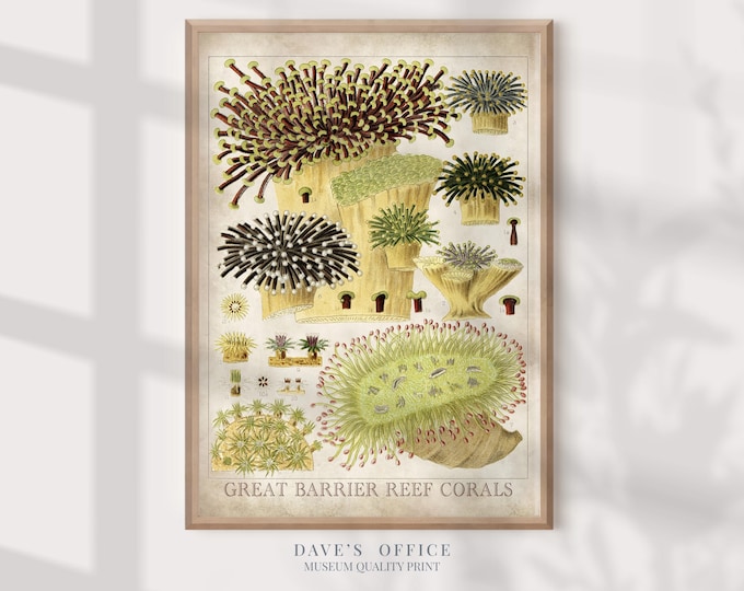 coral wall art, reef print, marine life poster, beach house decor