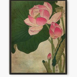 Lotus Flower Woodblock Print: Japanese Botanical Art - Etsy