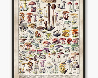 Mushroom art, Kitchen print, Fungi art, Larousse Antique Print, Home kitchen decor, Food poster, Botanical art, Vintage wall art, L21