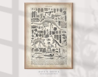 Paleontology Poster Donosaurs art print:  Milllot Larousse vintage illustration wall decor