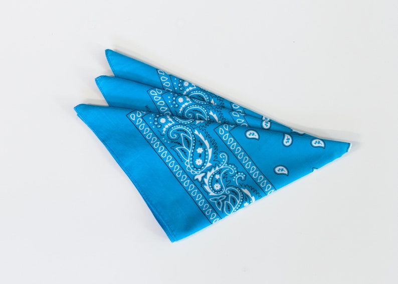 Vintage Blue Paisley Print Bandana Style Scarf . Blue and White Bandana Neckerchief Vintage Scarf Hairband 90s Headband Vintage Accessories image 3