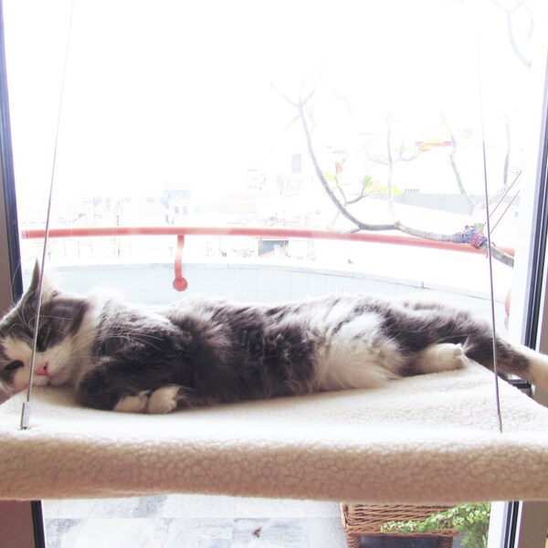 Cat window Hammock M