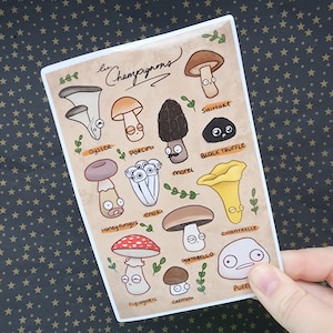 Mushrooms Vinyl Sticker Sheet