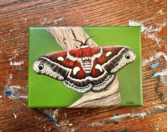 Original Moth Painting, Home Decor, Wall Art, Handmade Gift, Acrylic Paint