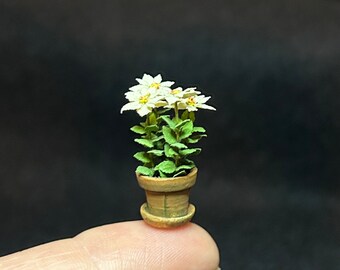 1/24 Scale Miniature White Flowers