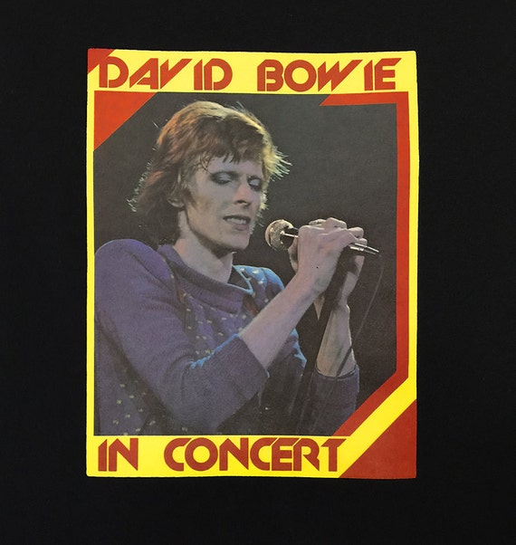 1970's David Bowie in Concert. Printed in the 70'… - image 2