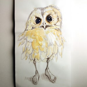 Originele potlood en aquareltekening van uil-persoon