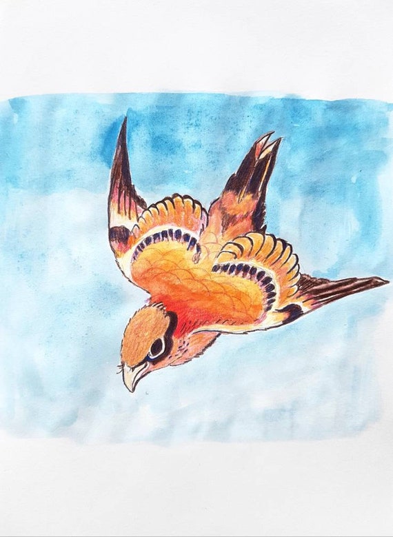 Original Watercolour Drawing Of Flying Bird