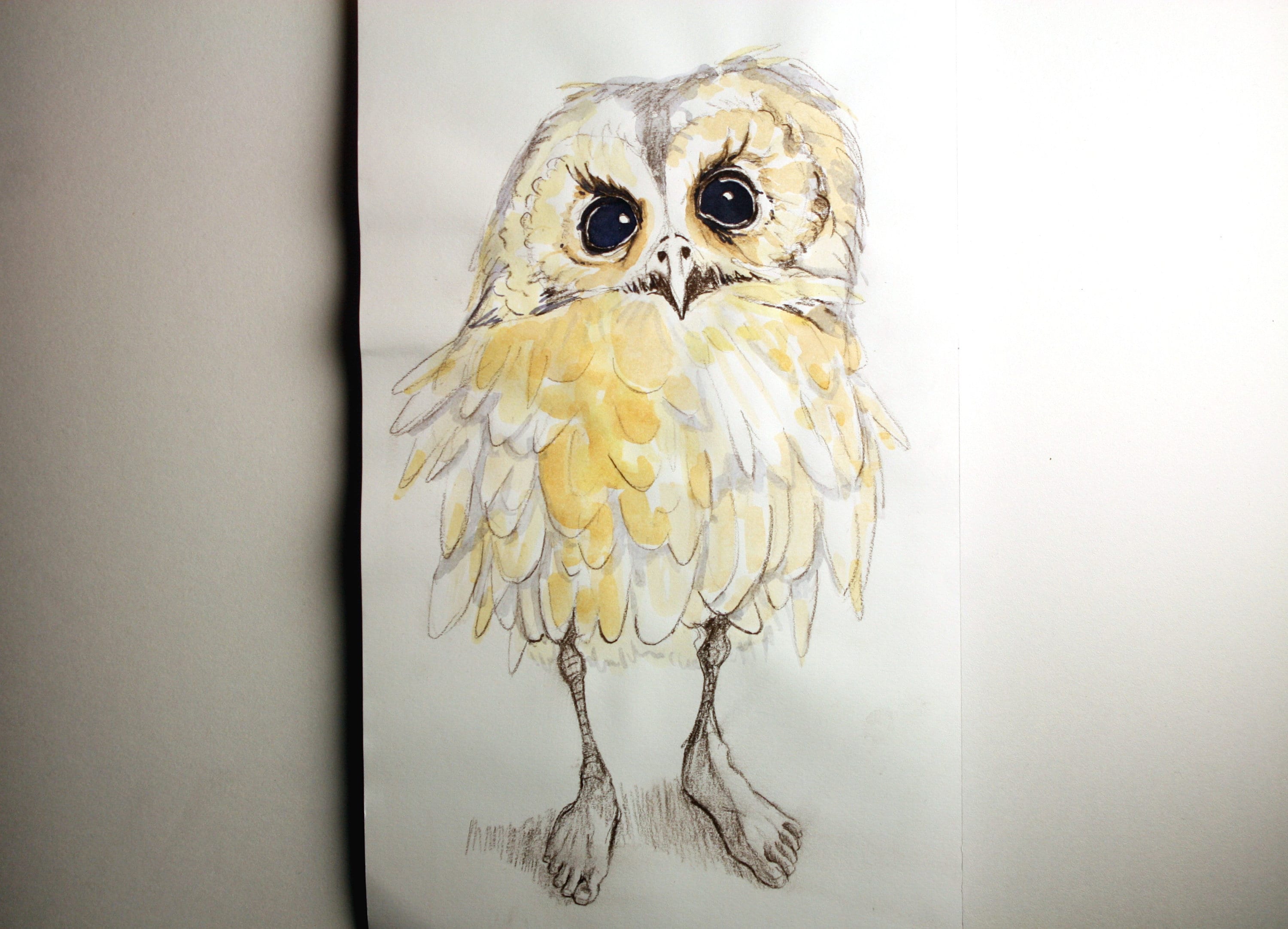Original pencil and watercolour drawing of owl-person